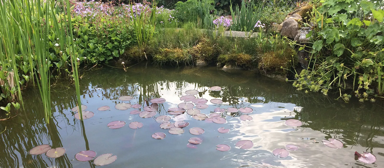 Gartenteich